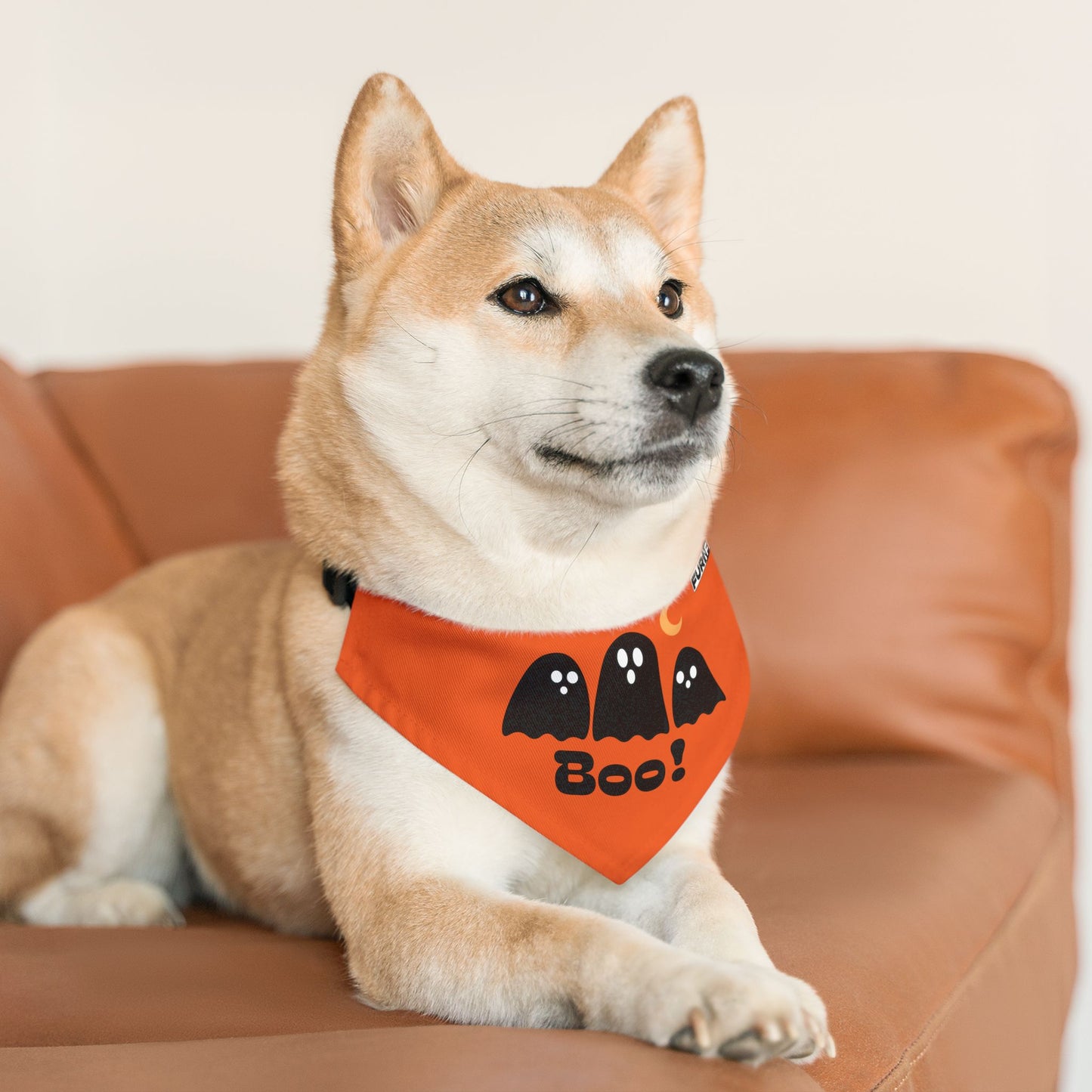 Pet Bandana Collar | "Boo with Ghosts" for Halloween (on Orange)