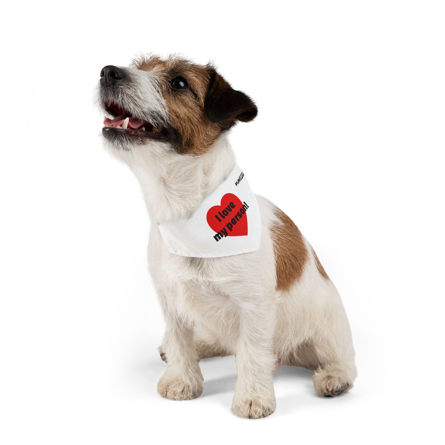 Pet Bandana Collar | "I love my person!"