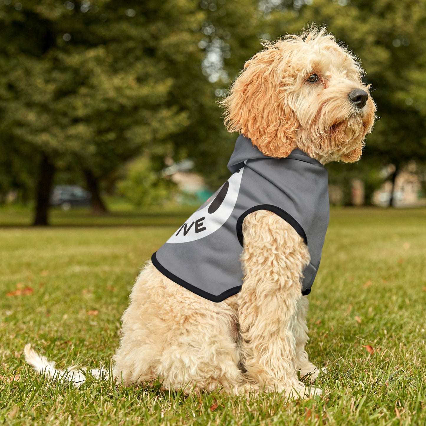 Pet Hoodie | "Stay Pawsitive"